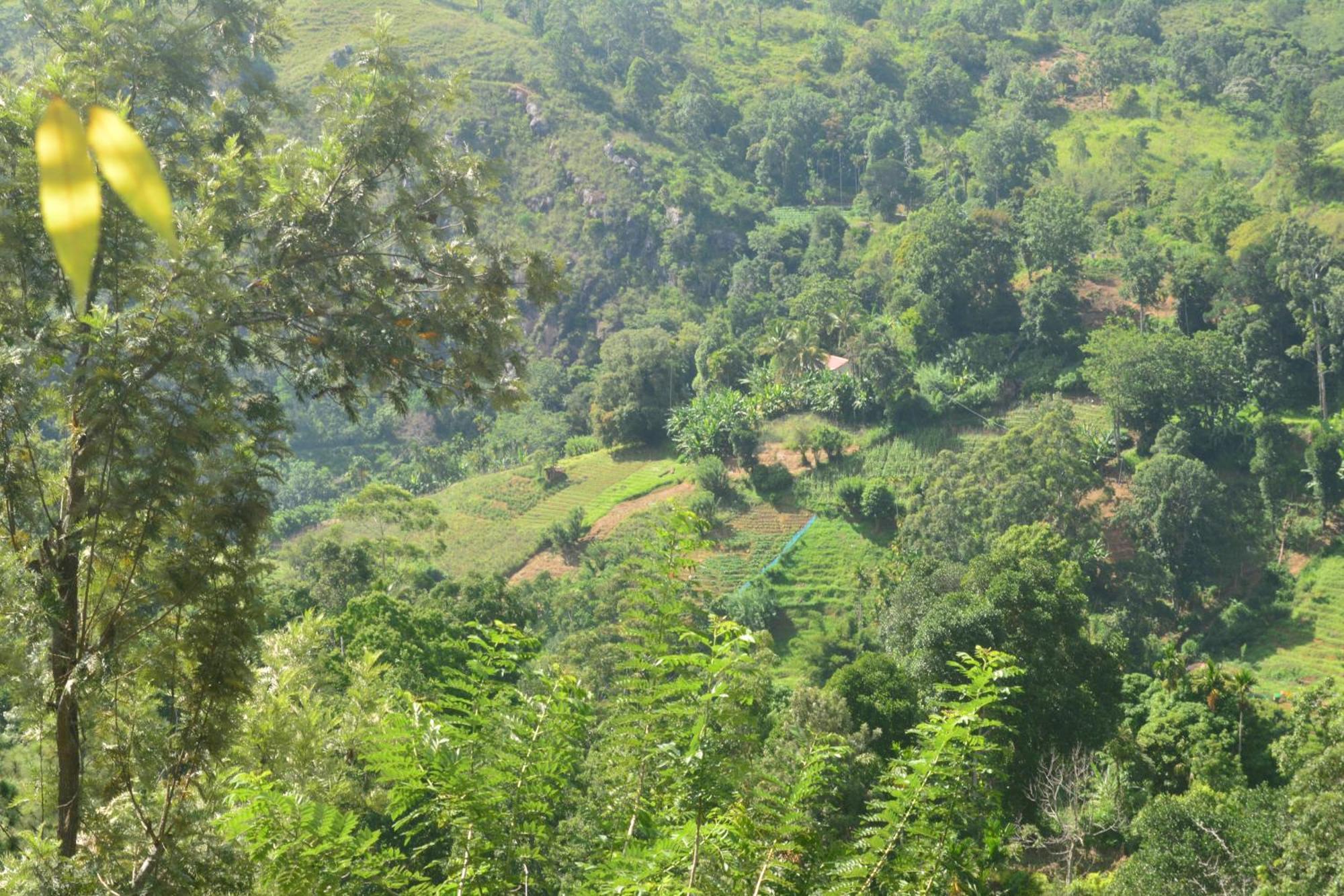 Racy Nature Cottage Ella Bagian luar foto