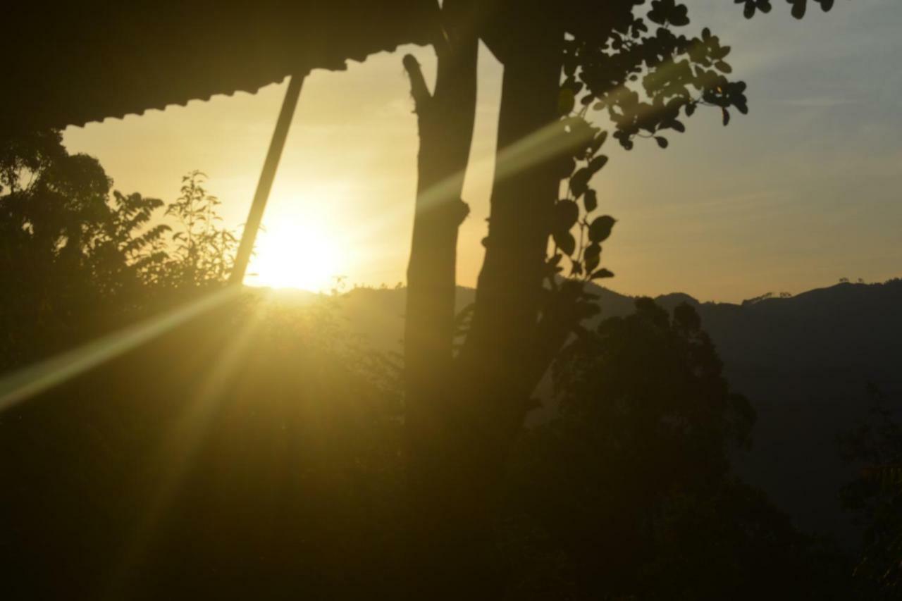 Racy Nature Cottage Ella Bagian luar foto